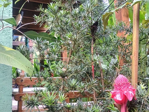 Oportunidade Imperdível para Compra de Terreno em Camburizinho - Foto 15
