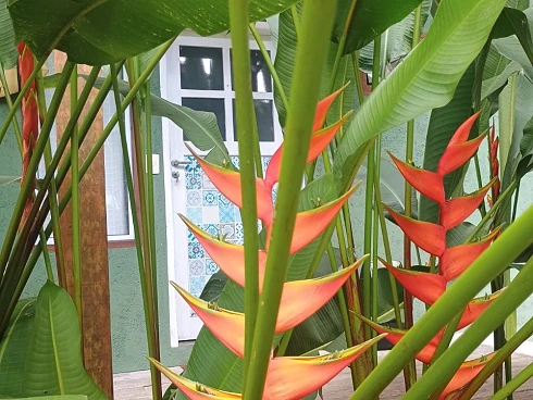 Oportunidade Imperdível para Compra de Terreno em Camburizinho - Foto 16