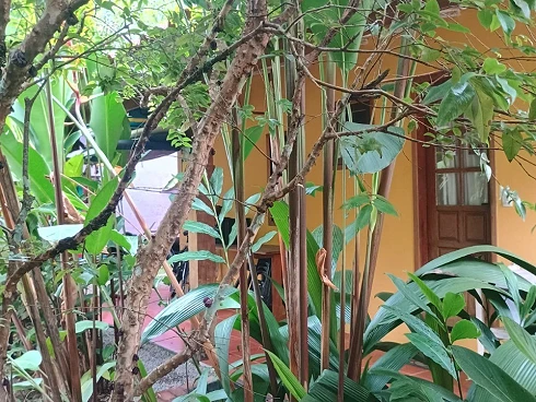 Oportunidade Imperdível para Compra de Terreno em Camburizinho - Foto 17