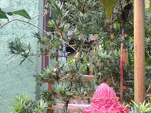 Oportunidade Imperdível para Compra de Terreno em Camburizinho - Foto 21