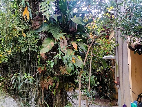Oportunidade Imperdível para Compra de Terreno em Camburizinho - Foto 6