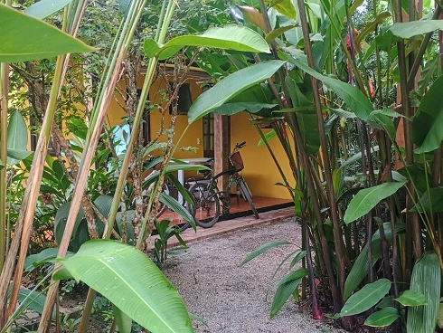 Oportunidade Imperdível para Compra de Terreno em Camburizinho - Foto 8