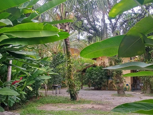 Oportunidade Imperdível para Compra de Terreno em Camburizinho - Foto 9