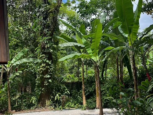 Casa Rústica a Venda no Sertão de Cambury - Foto 10