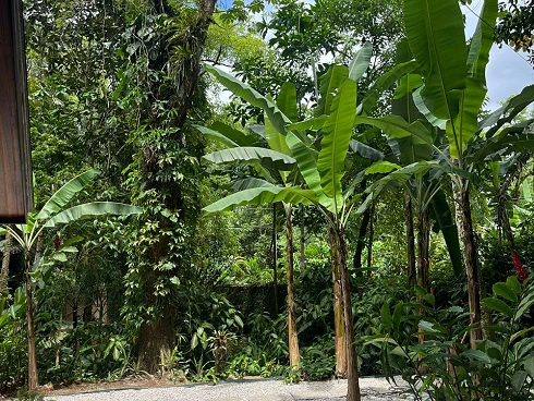 Casa Rústica a Venda no Sertão de Cambury - Foto 39