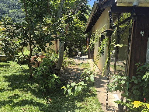 Casa a Venda no Sertão do Cacau, com Árvores Frutíferas. - Foto 15
