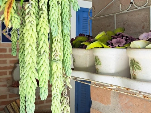 Casa Encantadora à Venda no Sertão de Camburi - Escritura Definitiva - Foto 27