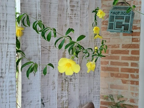 Casa Encantadora à Venda no Sertão de Camburi - Escritura Definitiva - Foto 45