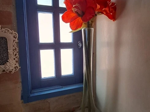 Casa Encantadora à Venda no Sertão de Camburi - Escritura Definitiva - Foto 47