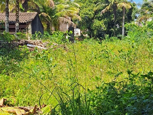 Atenção Investidores - Oportunidade Terreno Incorporação - Foto 15