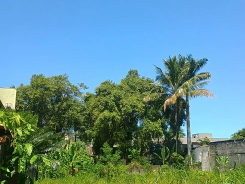 Terreno em Juquehy, São Sebastião