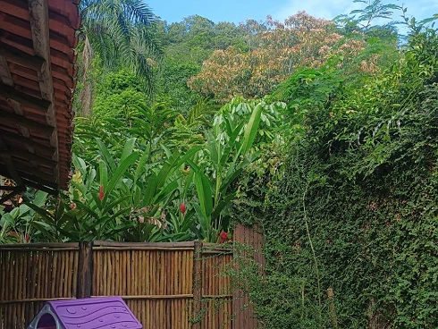 Casa à Venda em Condomínio - Cambury, Lado Praia - Foto 18