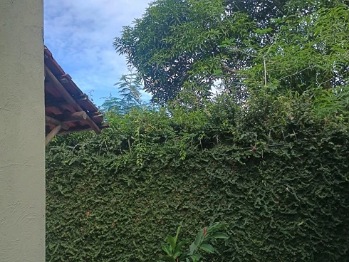Casa à Venda em Condomínio - Cambury, Lado Praia - Foto 20