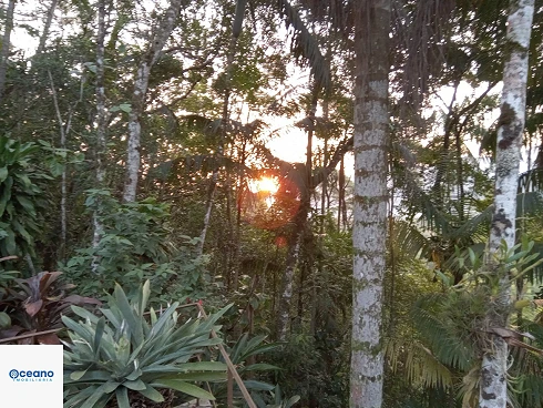 Casa em Sertão do Camburi, São Sebastião