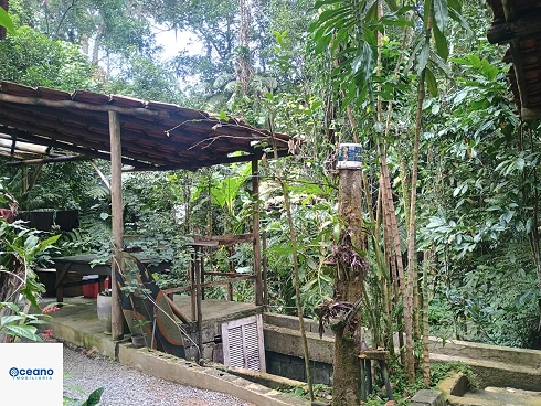 Oportunidade Imperdível no Sertão de Cambury - Foto 11