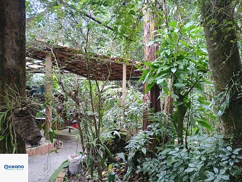 Oportunidade Imperdível no Sertão de Cambury - Foto 17