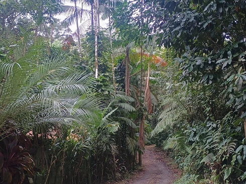 Sobrado em Sertão do Camburi, São Sebastião