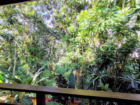 Oportunidade a Venda em Cambury - Lado Praia - Foto 36