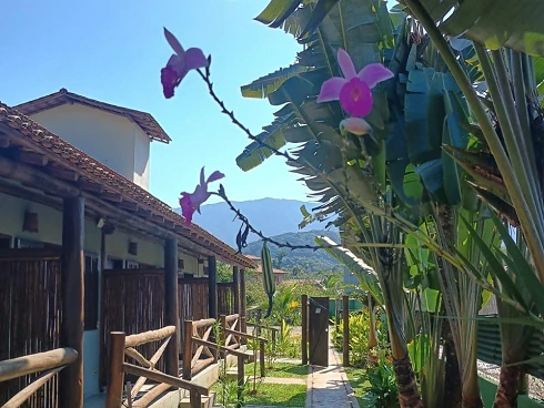À Venda - 5 Chalés em Terreno de 2.800M² no Sertão de Cambury - Foto 40