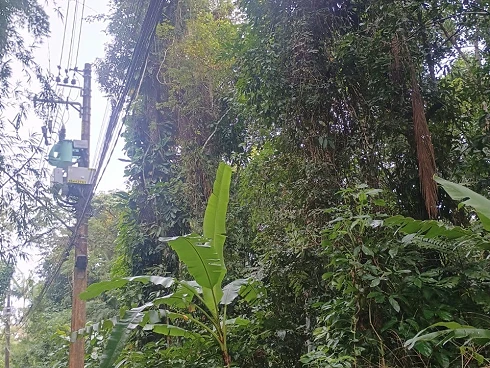 Terreno em Sertão do Camburi, São Sebastião