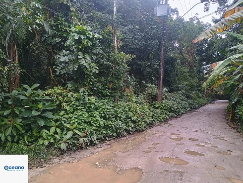 À Venda - Terreno de 4.000M² no Sertão do Piavú - Foto 6