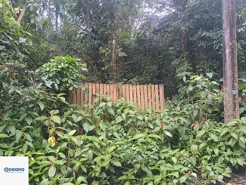 À Venda - Terreno de 4.000M² no Sertão do Piavú - Foto 7