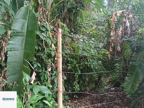 À Venda - Terreno de 4.000M² no Sertão do Piavú - Foto 8