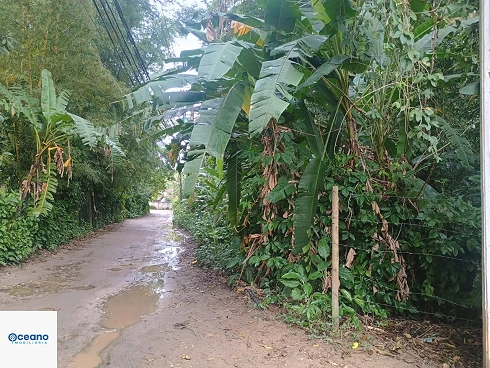 À Venda - Terreno de 4.000M² no Sertão do Piavú - Foto 9