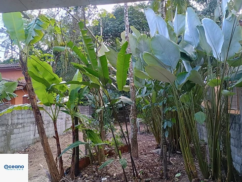 À Venda no Sertão de Cambury - Casa com Conceito Moderno - Foto 13