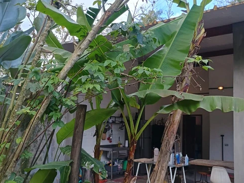 À Venda no Sertão de Cambury - Casa com Conceito Moderno - Foto 23