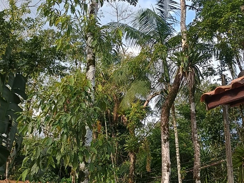 À Venda no Sertão de Cambury - Casa com Conceito Moderno - Foto 35
