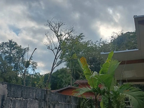 À Venda no Sertão de Cambury - Casa com Conceito Moderno - Foto 36