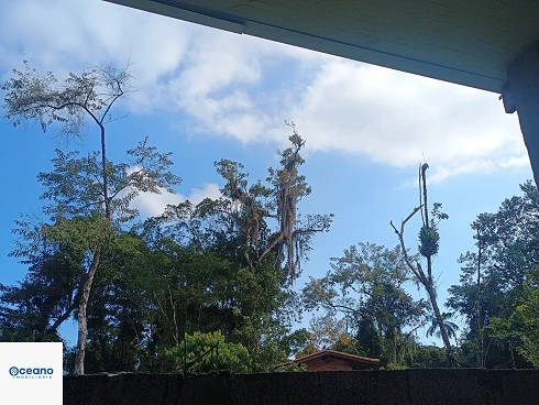 À Venda no Sertão de Cambury - Casa com Conceito Moderno - Foto 37