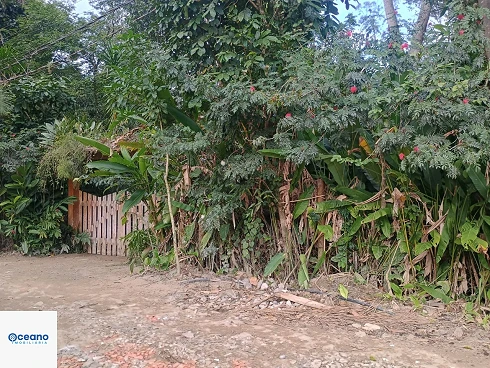 À Venda no Sertão de Cambury - Casa com Conceito Moderno - Foto 38