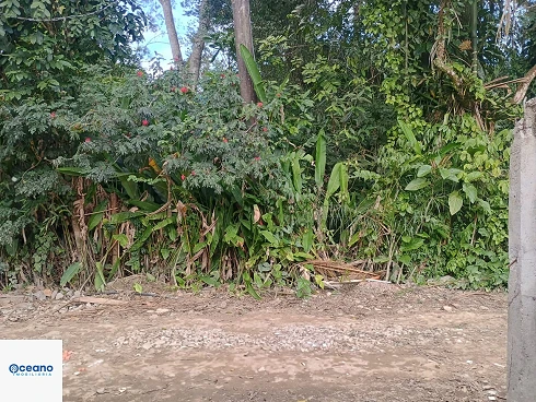 À Venda no Sertão de Cambury - Casa com Conceito Moderno - Foto 42