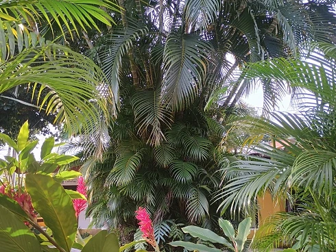 Oportunidade Única - Pousada à Venda em Boiçucanga - Foto 28