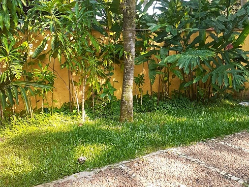 Casa à Venda em Barra do Una - Litoral Norte de São Paulo - Foto 39