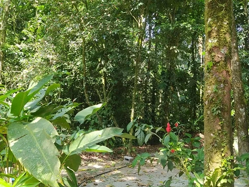 Refúgio a Venda no Sertão de Cambury, Oportunidade Única. - Foto 21