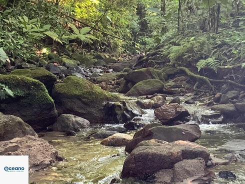 Refúgio a Venda no Sertão de Cambury, Oportunidade Única. - Foto 24