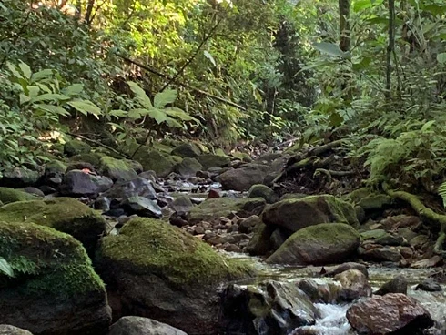 Refúgio a Venda no Sertão de Cambury, Oportunidade Única. - Foto 25