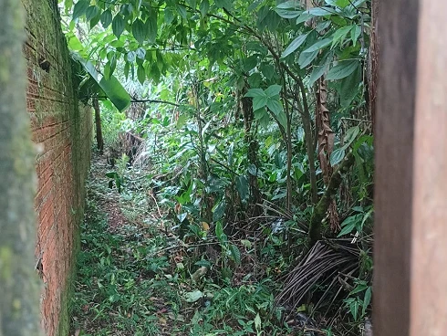 Boiçucanga - Terreno à Venda em Rua Residencial Privilegiada - Foto 8