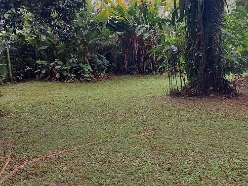 Casa à Venda em Condomínio em Boiçucanga - Foto 33
