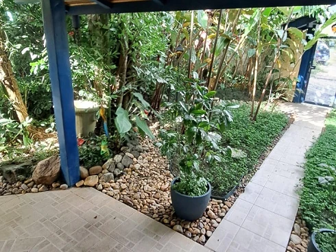 Casa à Venda na Praia de Cambury - Escritura Definitiva - Foto 15
