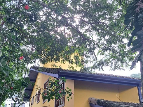 Casa à Venda na Praia de Cambury - Escritura Definitiva - Foto 34