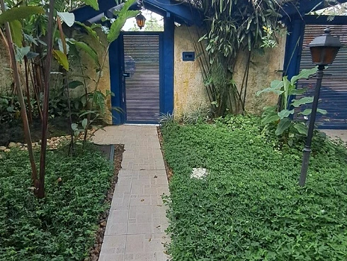 Casa à Venda na Praia de Cambury - Escritura Definitiva - Foto 38