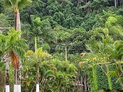 Locação Anual na Praia de Boiçucanga - Foto 23