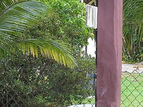 Locação Anual na Praia de Boiçucanga - Foto 29