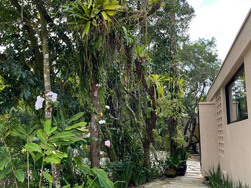 Casa em condomínio em Maresias, São Sebastião