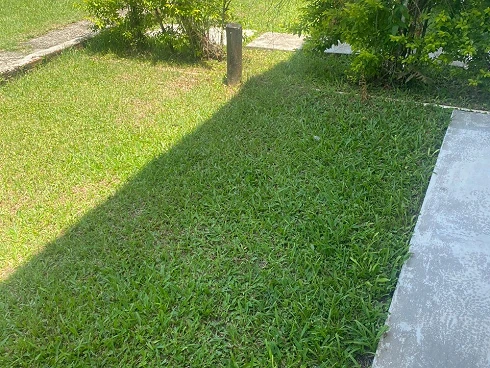 Boiçucanga a Venda - Foto 19