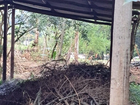 Terreno em Camburi, São Sebastião